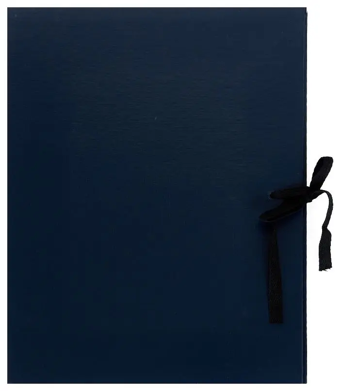 Архивная папка А4, 20 мм, бумвинил, с Г-образными гребешками, 2 шнурка, синяя