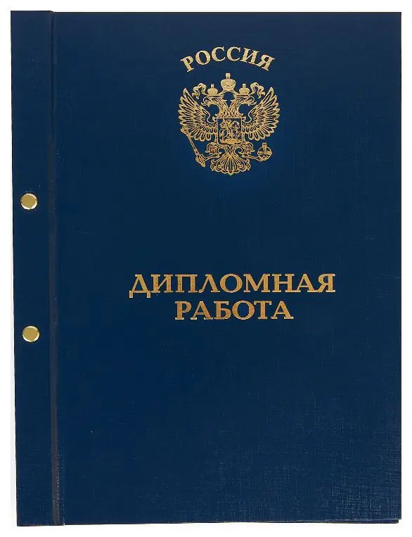 Папка-обложка для Дипломной работы, бумвинил, корешок 20 мм жёсткий, синяя, на 2-х болтах