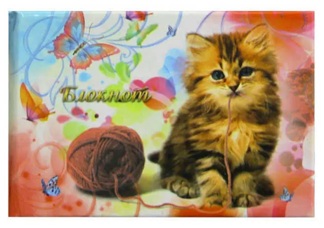 Блокнот ламинированный, Котенок, (9,5см*6,5см) горизонтальный