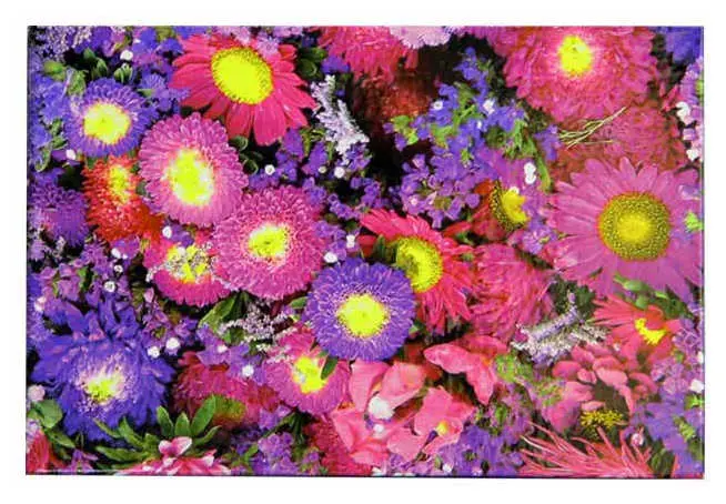 Блокнот ламинированный, Астры, (18см*12см) горизонтальный