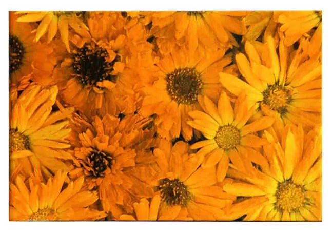 Блокнот ламинированный, Оранжевые цветы, (18см*12см) горизонтальный