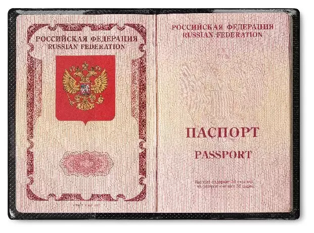 Обложка для паспорта из натуральной кожи, цветной рисунок по коже "Z"