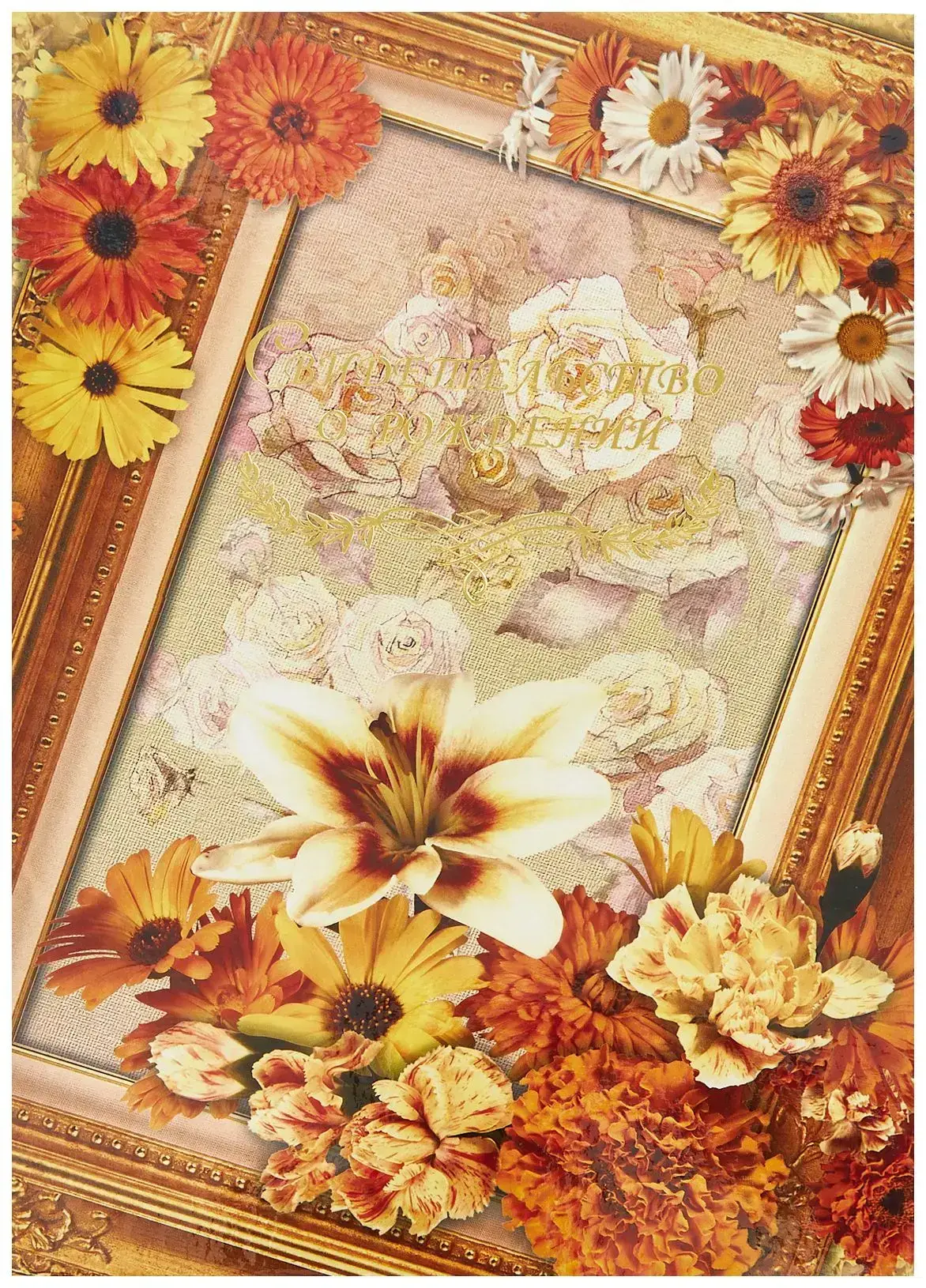 Папка с файлом ламинированная А4 (жесткая)  "Свидетельство о рождении с виньеткой" Рамочка